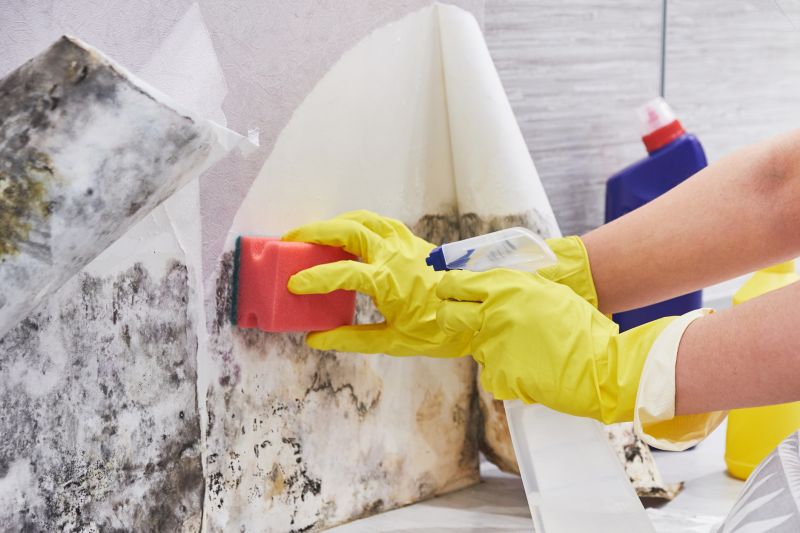 Black Mold Remediation in Essex County, NJ