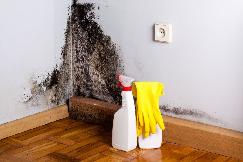 Black Mold Remediation in West Palm Beach, FL