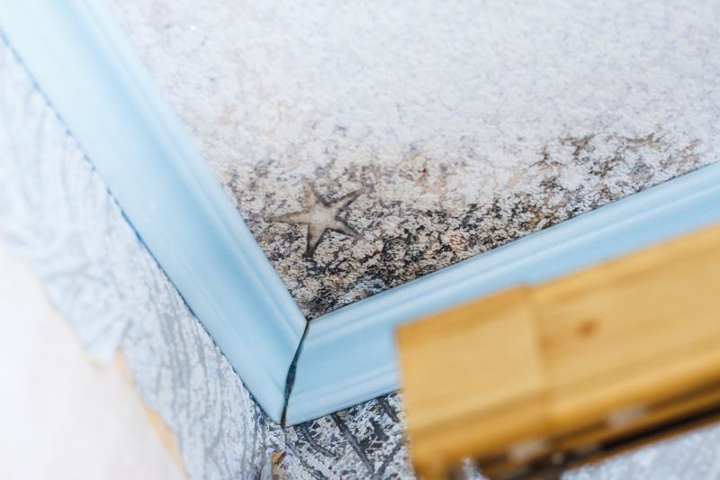 Ceiling Mold Removal in West Palm Beach, FL