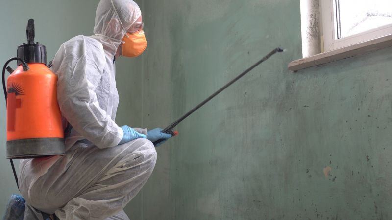 Mold Abatement in Delray Beach, FL
