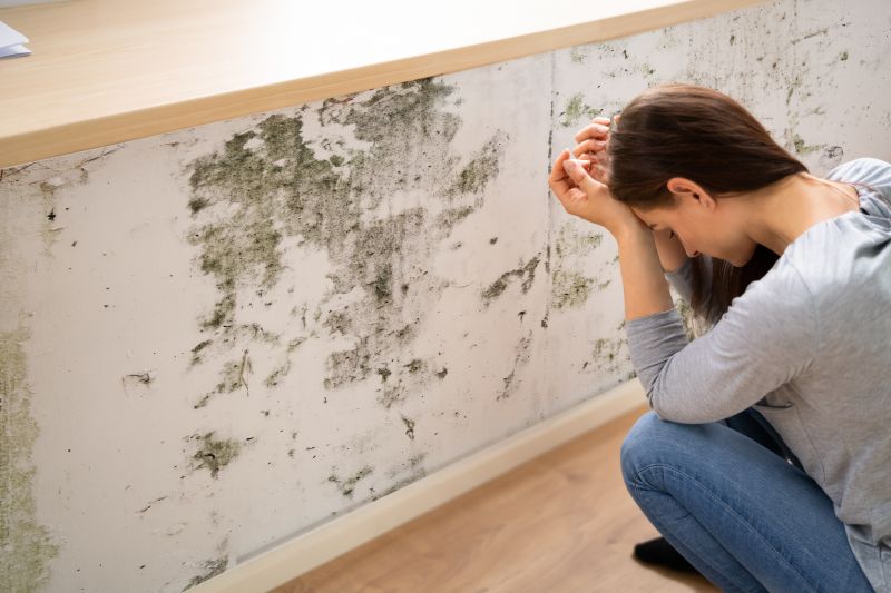 Mold Detection in Mckinney, TX