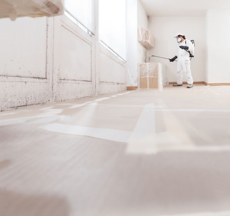 Mold Remediation Service in West Palm Beach, FL