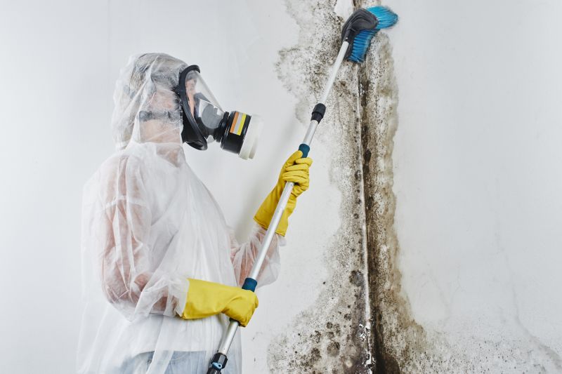 White Mold Mitigation in Fort Lauderdale, FL