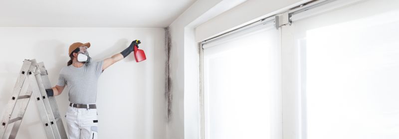 White Mold Mitigation in Dallas, TX
