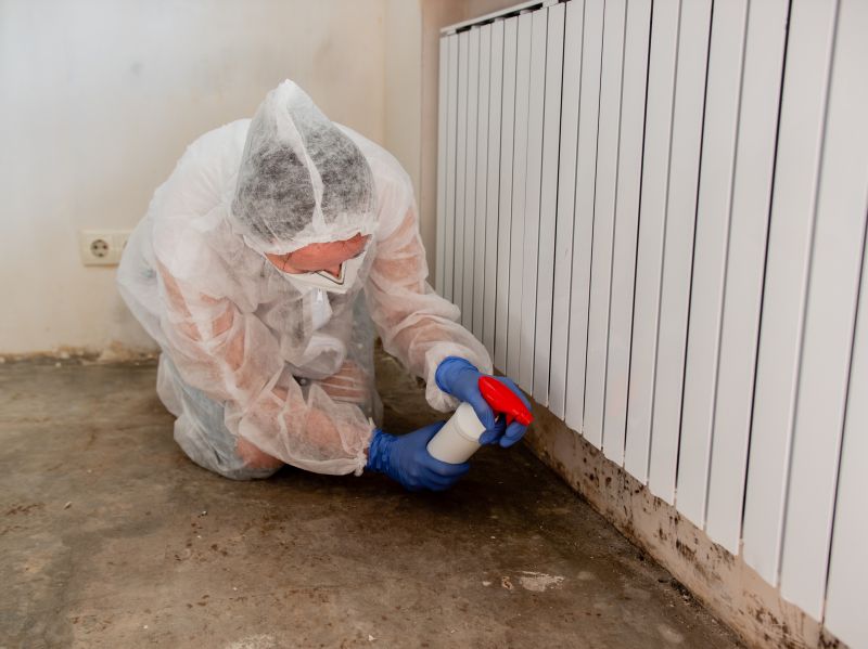 White Mold Mitigation in Dallas, TX